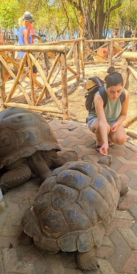 Picture 2 for Activity Zanzibar: Changuu Island and Stone Town Tour with Lunch 2