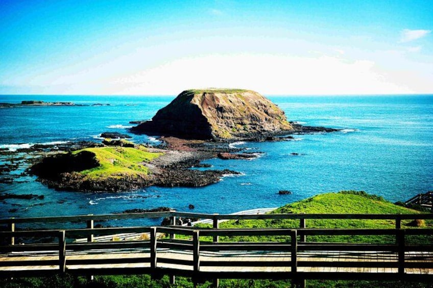 Phillip Island Full-Day Tour from Melbourne with Penguin Parade 2
