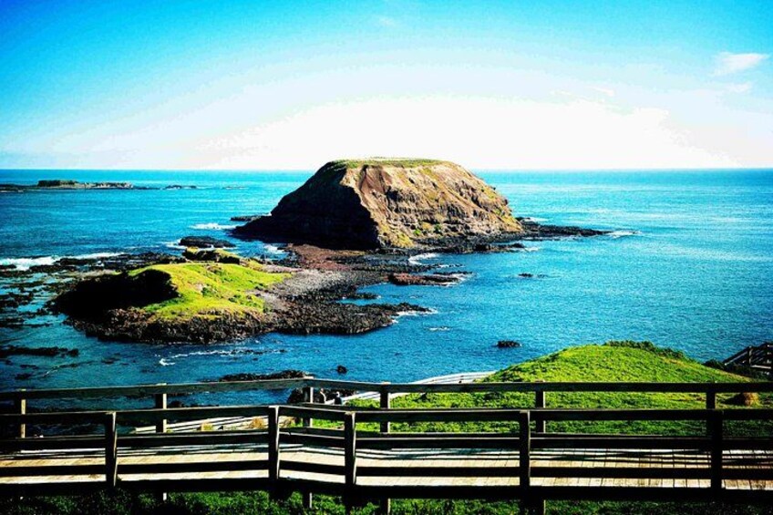 Phillip Island Full-Day Tour from Melbourne with Penguin Parade 3