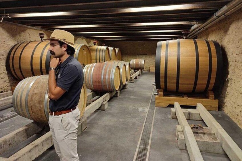 Luberon and Chateauneuf du Pape Wine Tour 3
