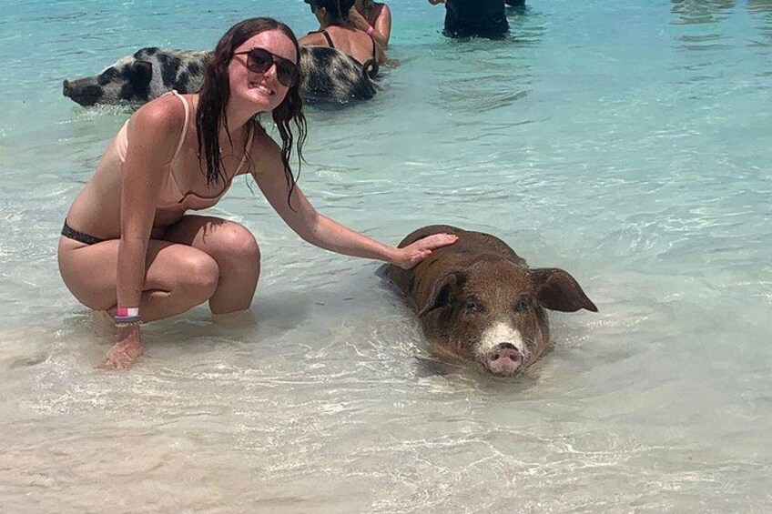 A woman in a bikini petting a dog in shallow water. 1