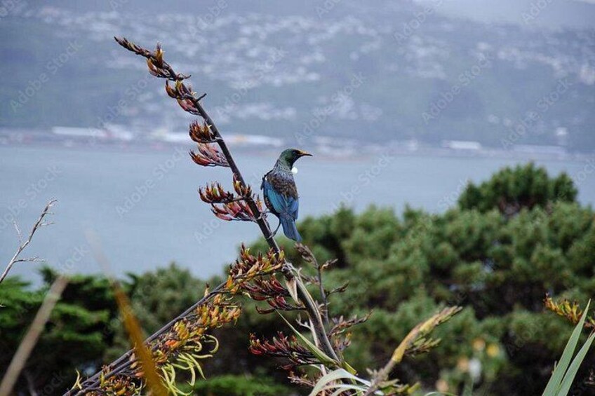 A bird perched on a branch with a mountainous landscape in the background. 3
