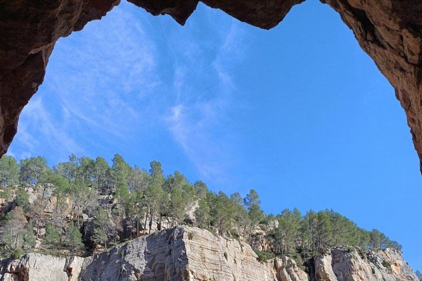 Une falaise rocheuse, parsemée d’arbres, sous un ciel bleu et dégagé. 4