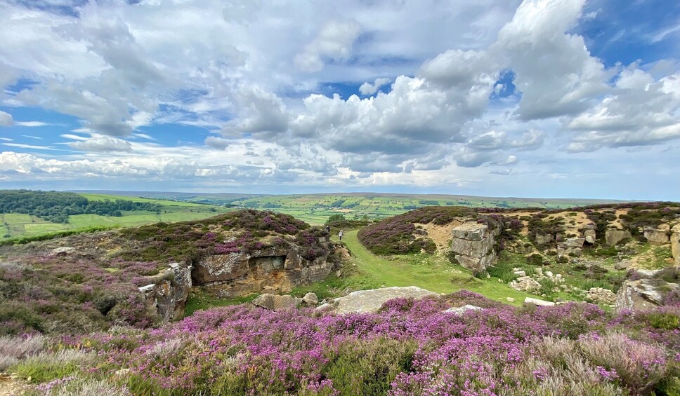 From London: The North York Moors with Steam Train (NYM Railway) to Whitby