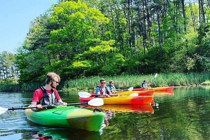 Cape Cod Explorer Tour 3