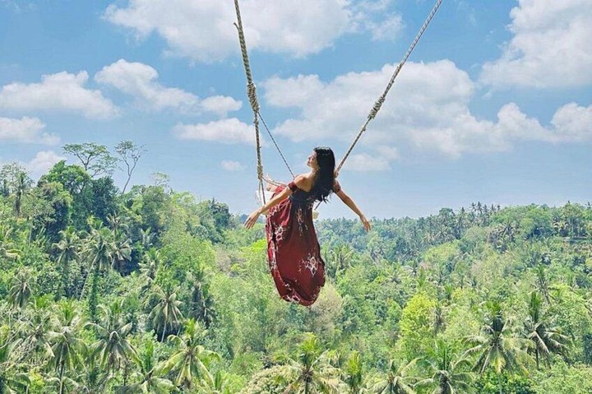 Una persona se balancea en una cuerda en medio de un bosque tropical denso. 1