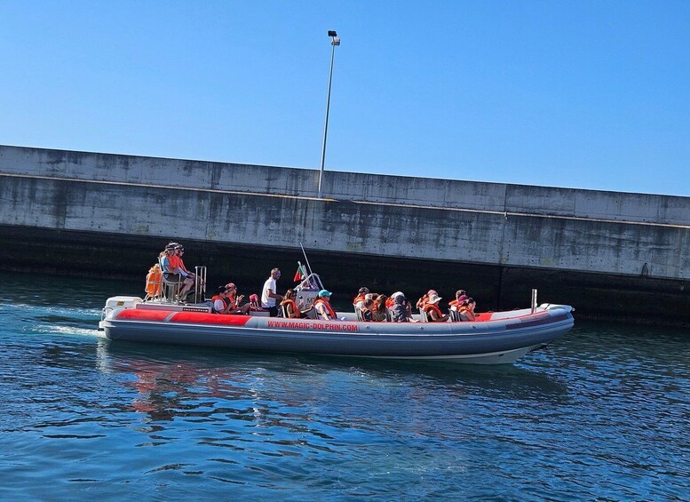 Picture 1 for Activity Funchal: Dolphin and Whale Watching Cruise 3