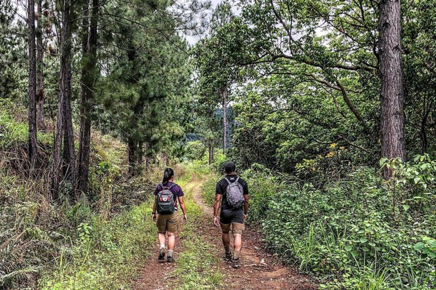 Koroyanitu Waterfall & Highlands Hiking Adventure from Nadi 3