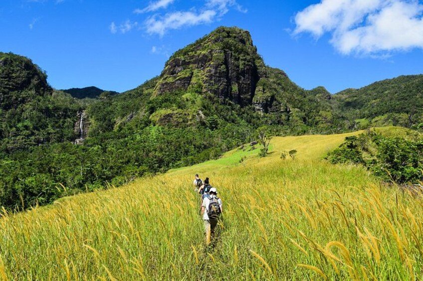 Koroyanitu National Park - Small Group Hiking and Waterfall Tour 1