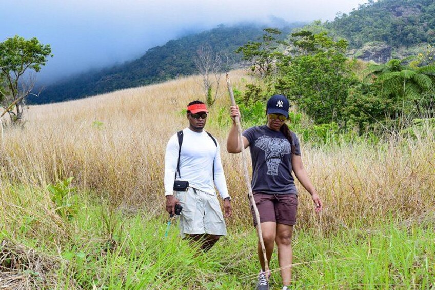 Koroyanitu Waterfall & Highlands Hiking Adventure from Nadi 2