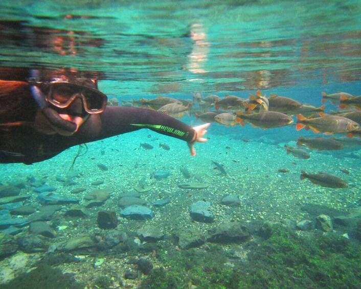 Picture 1 for Activity Bonito: Prata River Snorkeling 2