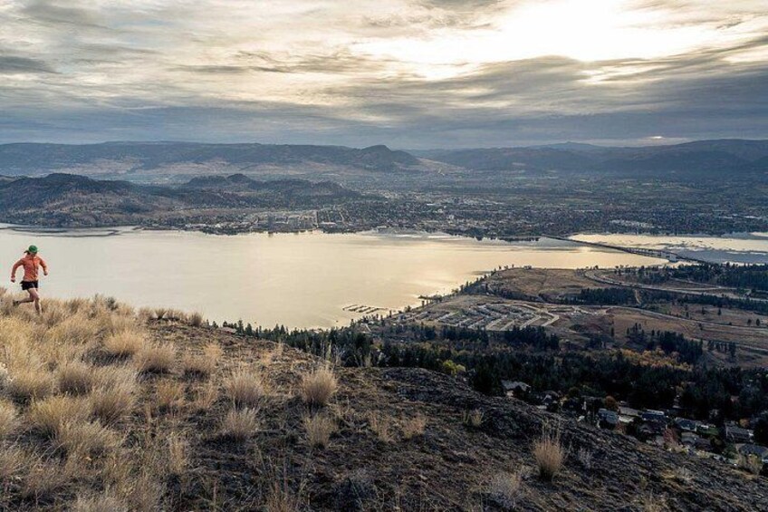 Un excursionista en una colina cubierta de hierba con vistas a un lago y un paisaje urbano. 2