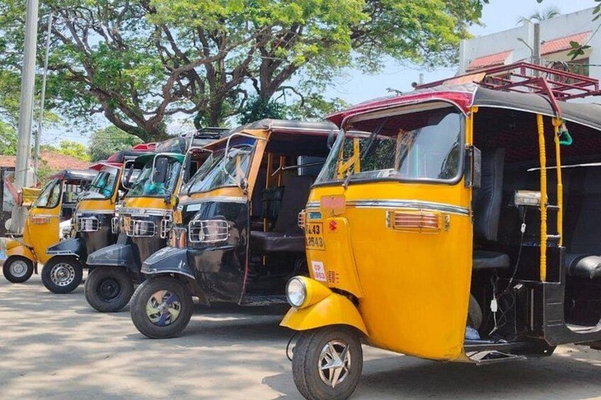 Local Kochi Sightseeing Tuk-Tuk Tour 2