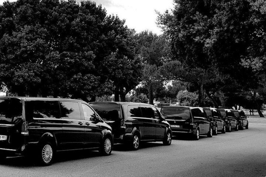 A row of parked cars in a parking lot with trees in the background. 2