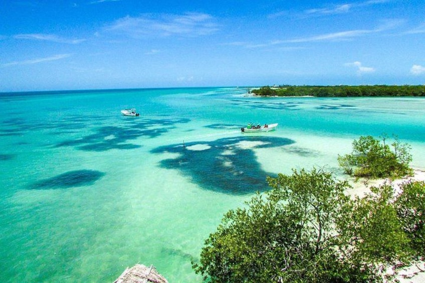 Full Day Holbox Island Tour from Playa del Carmen with Lunch 1