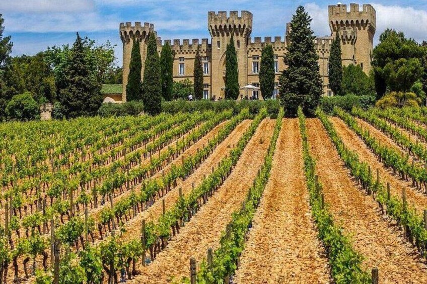 A vineyard in front of a castle. 2
