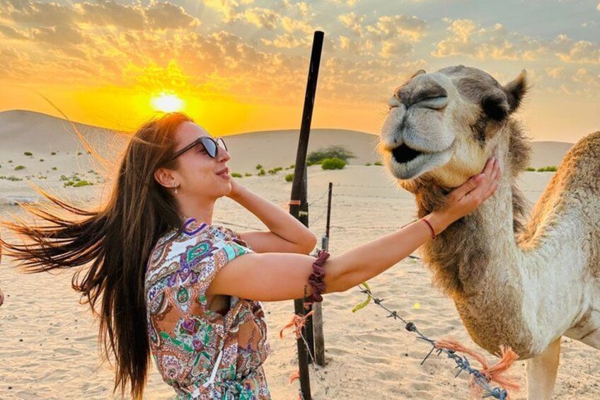 Abu Dhabi Desert Safari with Camel Ride BBQ Dinner and Live Shows 4