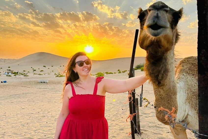Abu Dhabi Desert Safari with Camel Ride BBQ Dinner and Live Shows 1