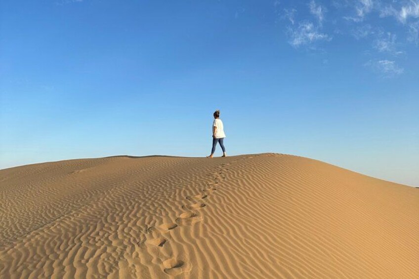Abu Dhabi Desert Safari with Camel Ride BBQ Dinner and Live Shows 2