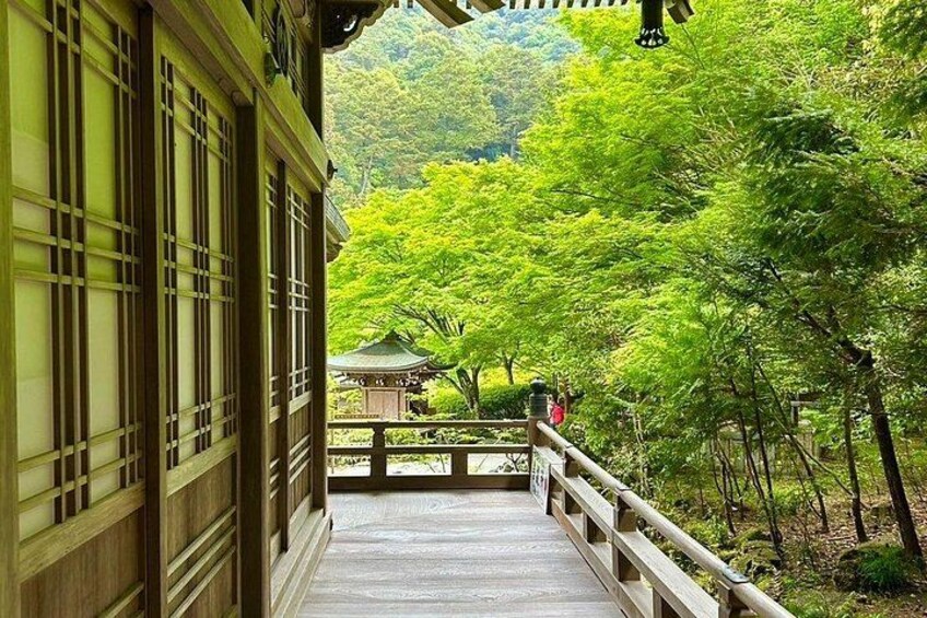 Hiroshima & Miyajima Full-Day Private Tour with Licensed Guide 5
