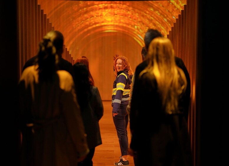 Picture 2 for Activity Cork: Jameson Irish Whiskey & Midleton Distillery Experience 5