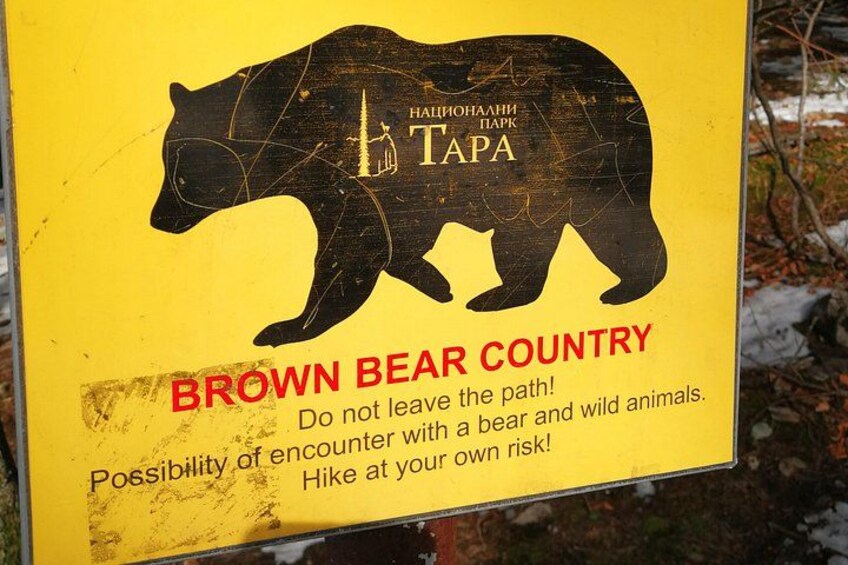 Tara National Park and Drina River House 3