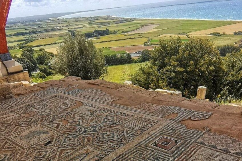 Alfombra estampada sobre un suelo de piedra, con vistas a un paisaje costero con campos y una masa de agua. 3