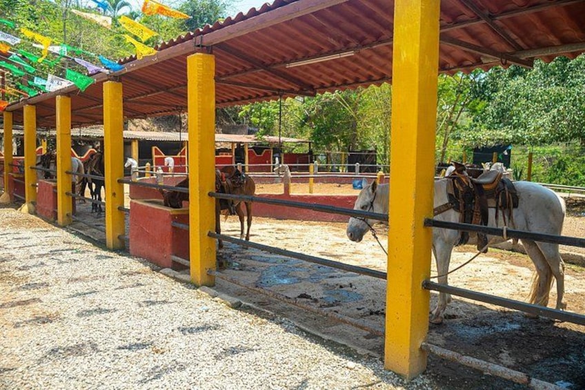 Sayulita and San Pancho Tour 2