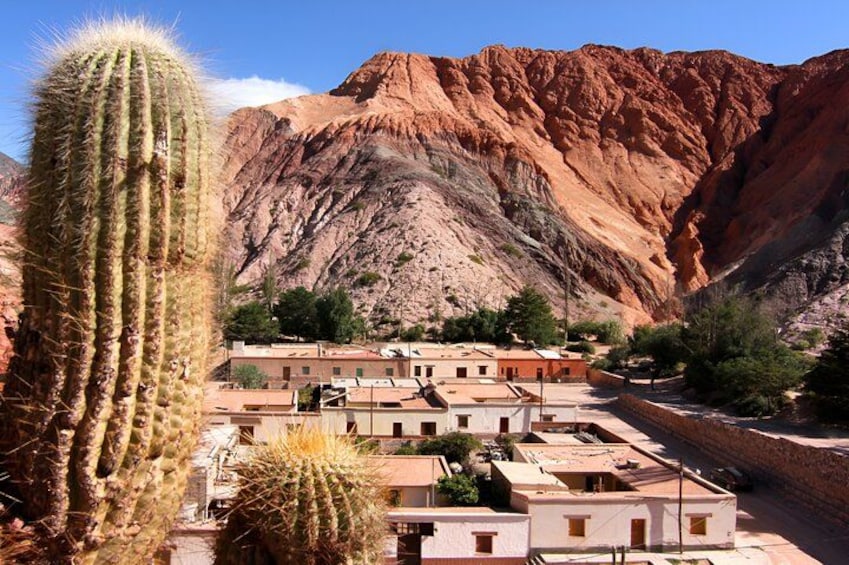 Paisaje desértico con un cactus grande, un pequeño asentamiento con edificios y una montaña al fondo. 4