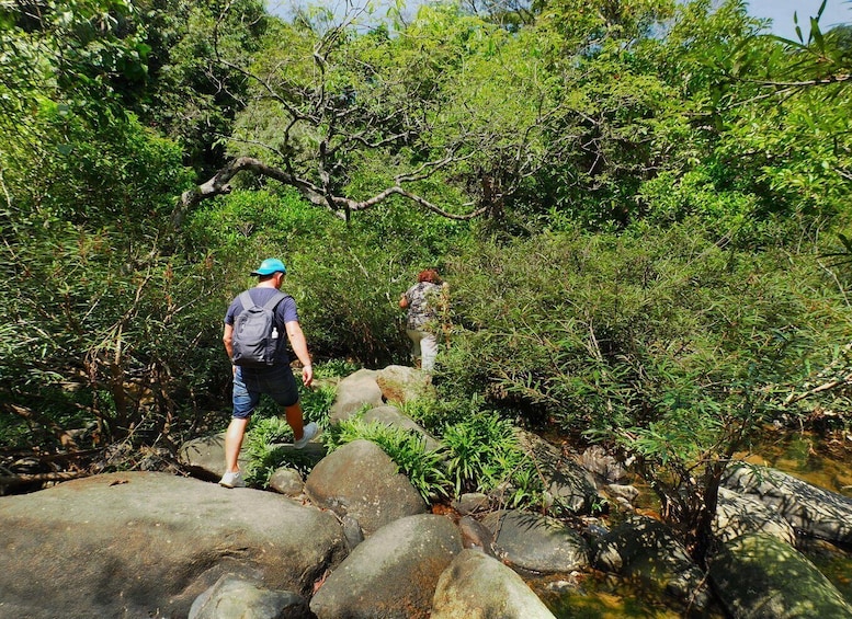 Picture 22 for Activity From Khao Lak: Khao Sok Jungle Hike, River Raft & View point 5