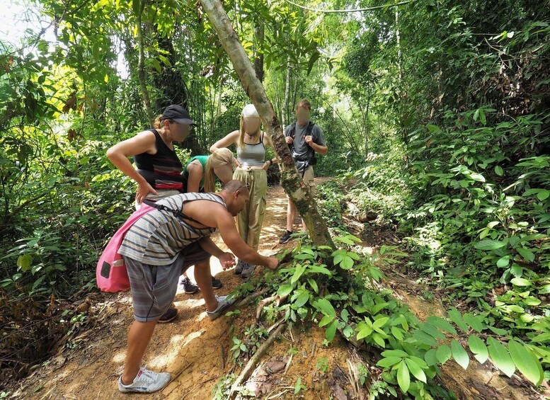 Picture 7 for Activity From Khao Lak: Khao Sok Jungle Hike, River Raft & View point 2
