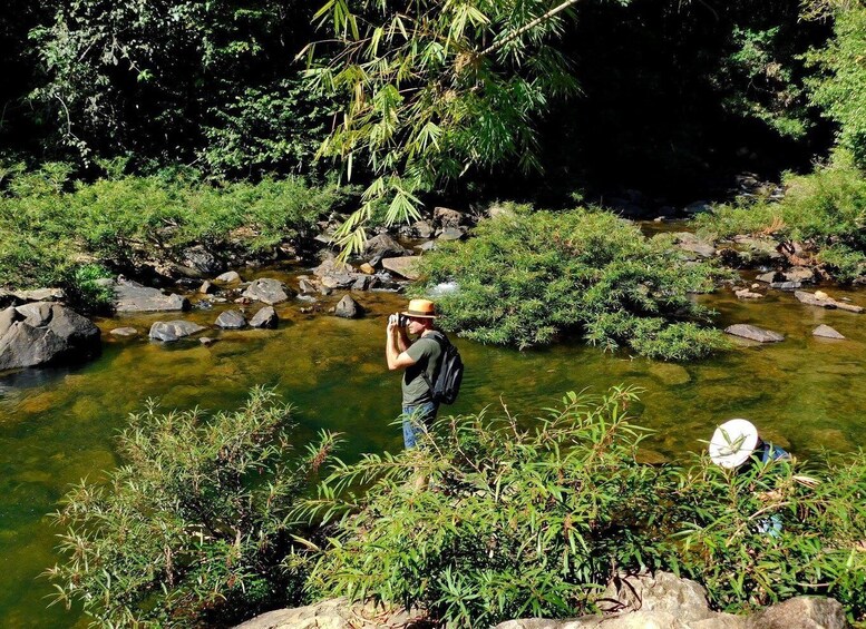 Picture 17 for Activity From Khao Lak: Khao Sok Jungle Hike, River Raft & View point 3