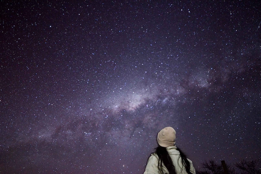 Picture 7 for Activity San Pedro de Atacama: Atacama, Stargazing experience 2