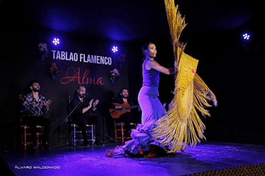 Palma: Authentic Flamenco Show at Tablao Flamenco Alma 2
