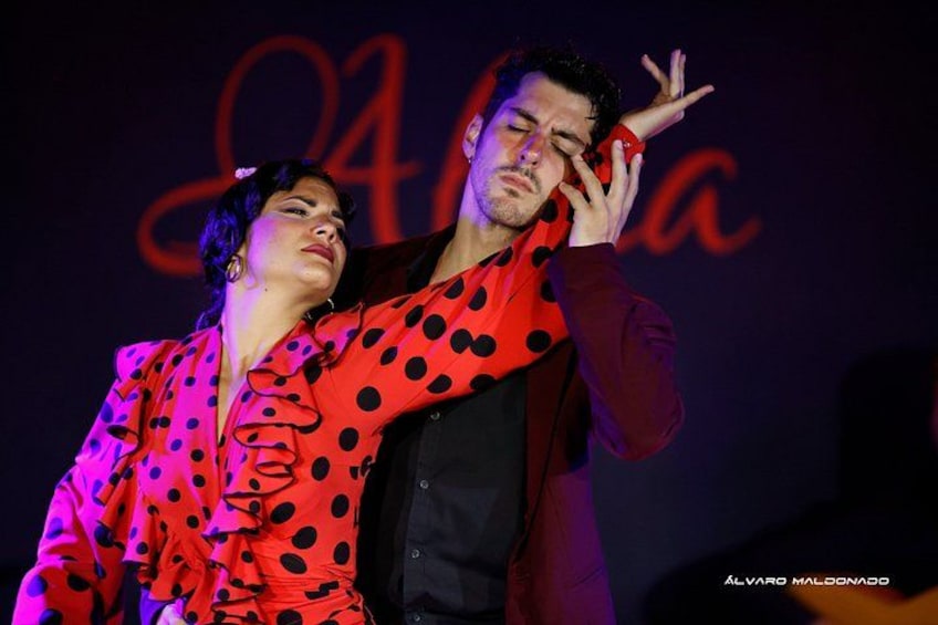 Palma: Authentic Flamenco Show at Tablao Flamenco Alma 4