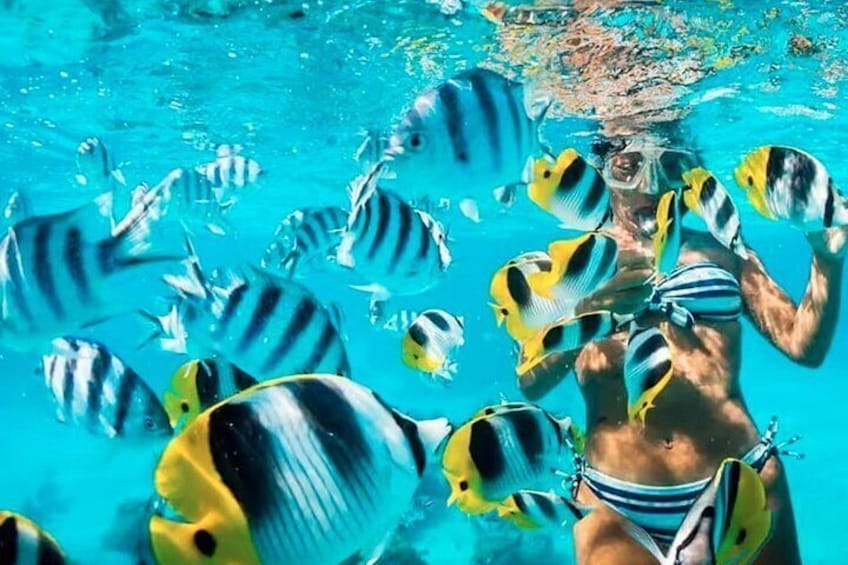 Cartagena 5 Island Hop Tour: Lunch, Snorkel, Beach Clubs, & More 4