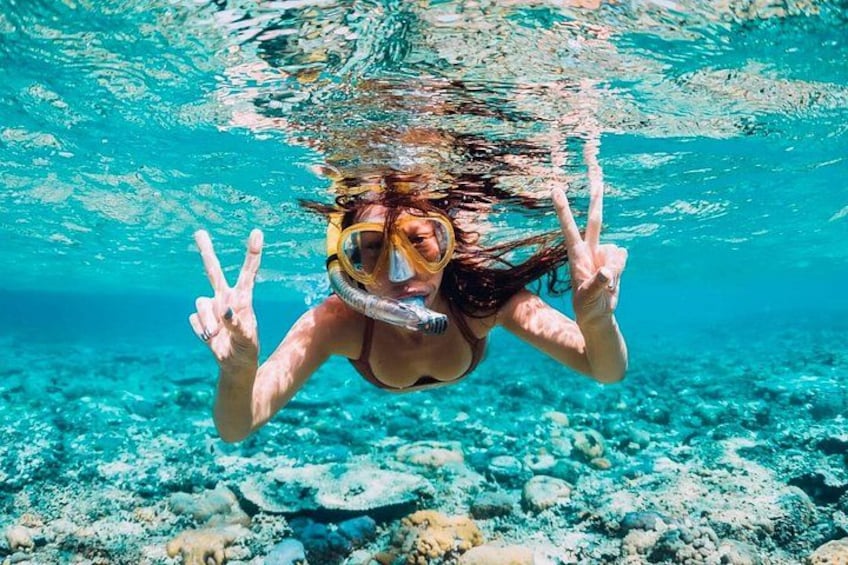 Cartagena 5 Island Hop Tour: Lunch, Snorkel, Beach Clubs, & More 2