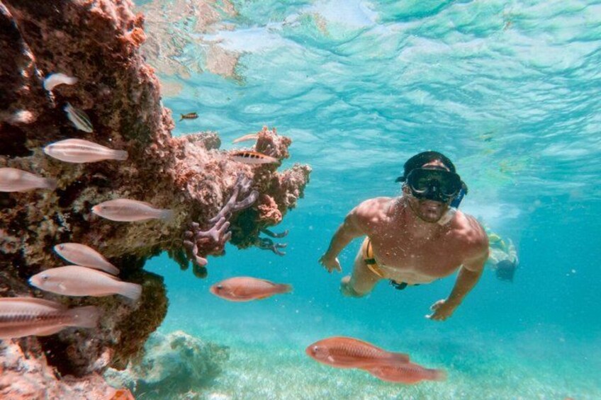 Cartagena 5 Island Hop Tour: Lunch, Snorkel, Beach Clubs, & More 2