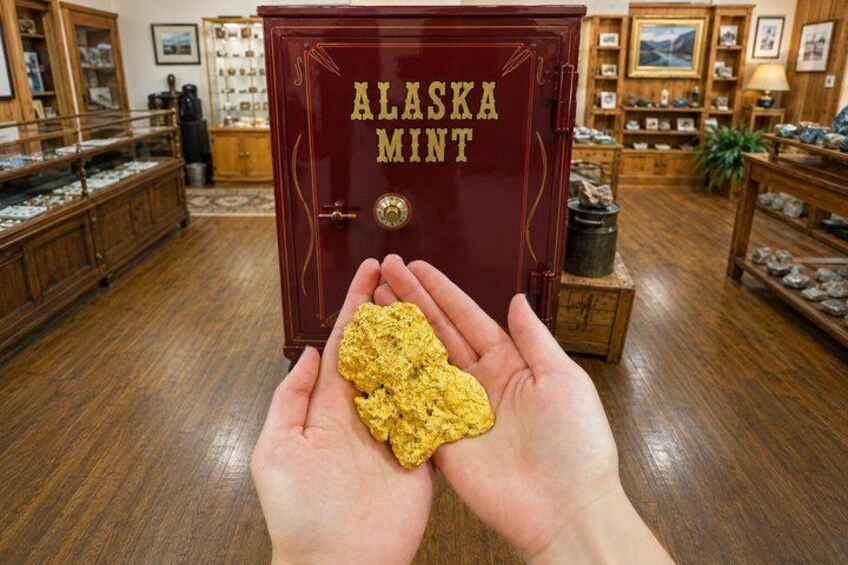 Una persona tiene in mano un pepite d'oro davanti a una teca con la scritta 'Alaska Mint'. 3
