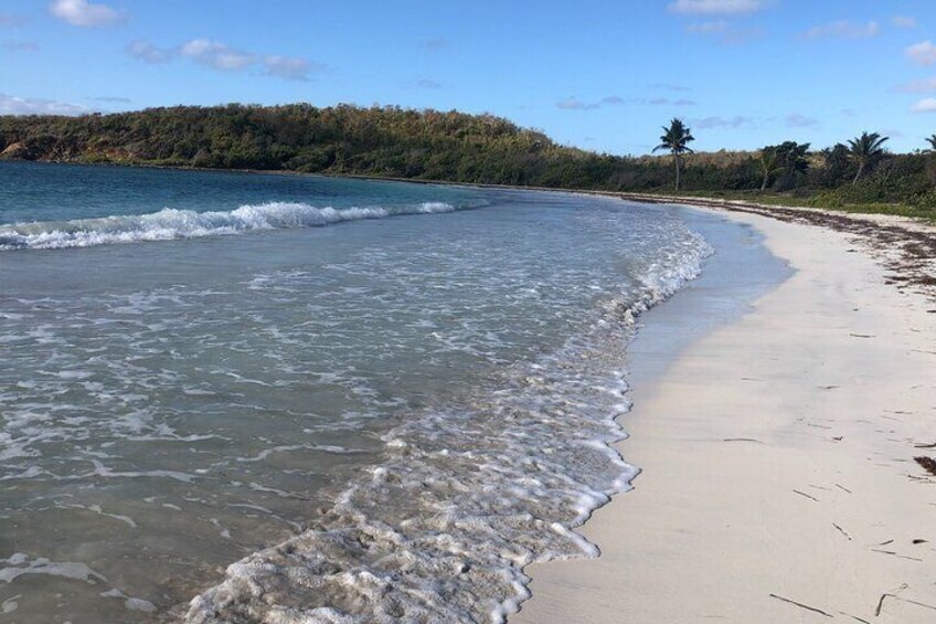 Private Island Hopping Tour to Vieques Island