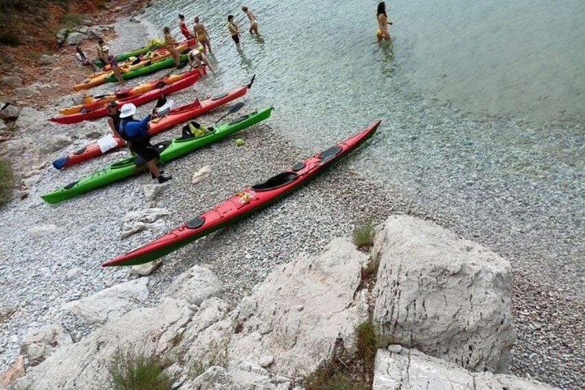 Un groupe de personnes se tient près de kayaks sur une plage rocheuse. 4