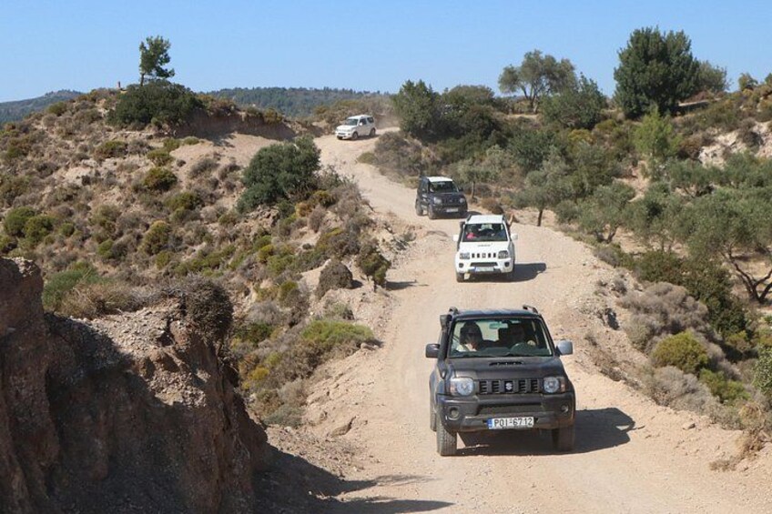 Safari roads 2