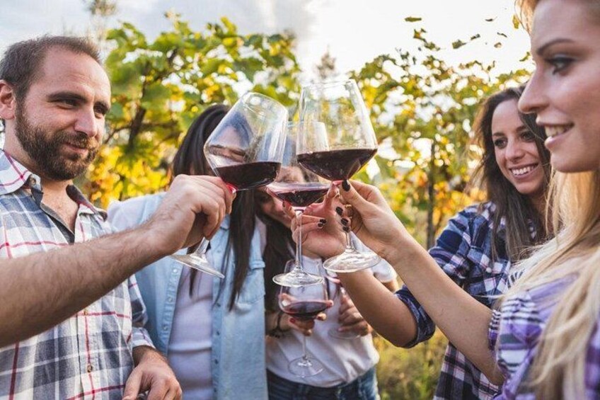 Private Wine Tour from Florence: 3 Wineries & Lunch 1