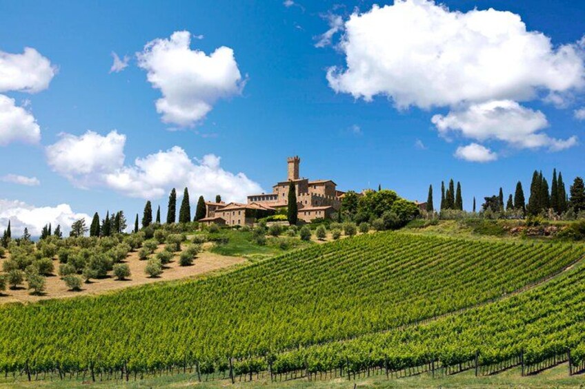 Private Tuscany Wine Tour from Florence: 3 Wineries & Lunch 4