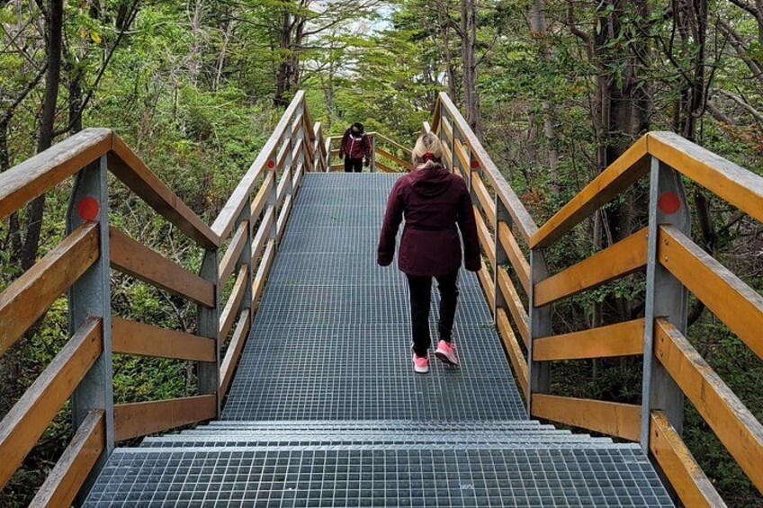Walkways 2