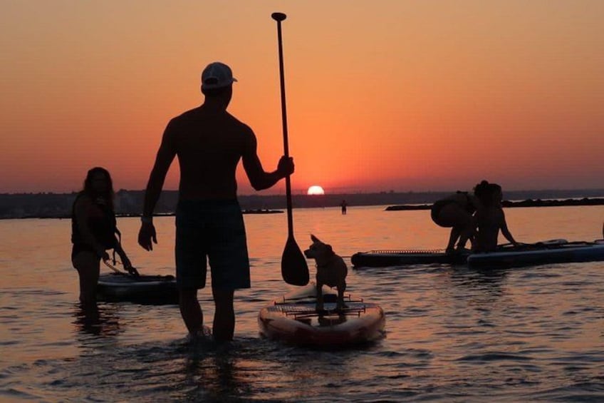 Atardecer sobre el agua con gente remando y un perro en un flotador. 1