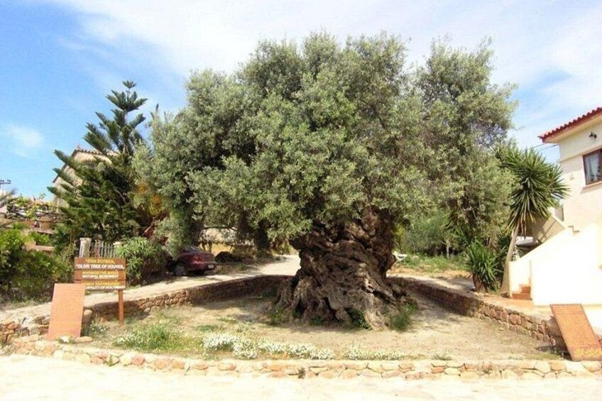 Cheese and Wine Tasting Tour From Chania 2