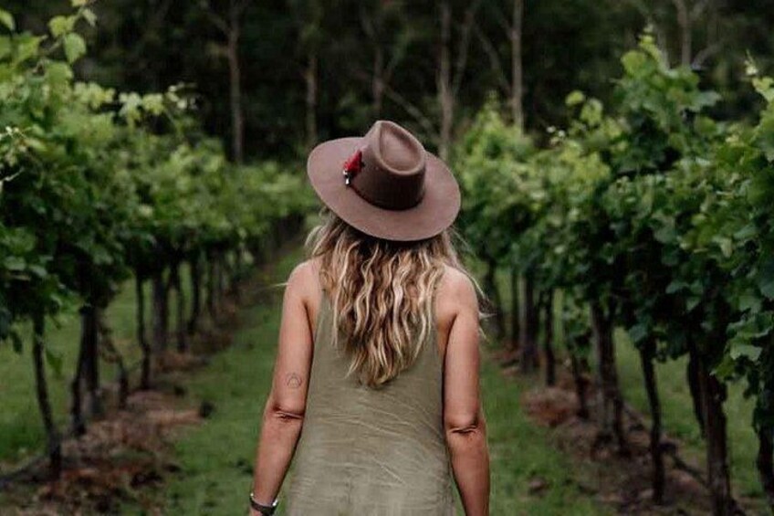 Tamborine Mountain Wineries | Pineapple Tours 2