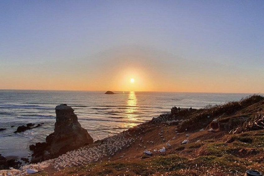 Auckland Sunset tour with Winery & Thermal pool 1