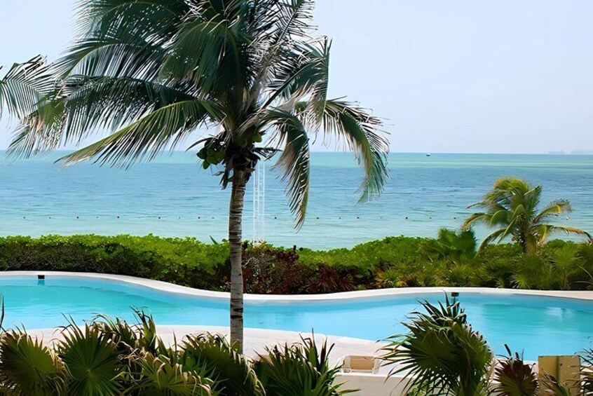 Une piscine avec vue sur l’océan et les palmiers. 2